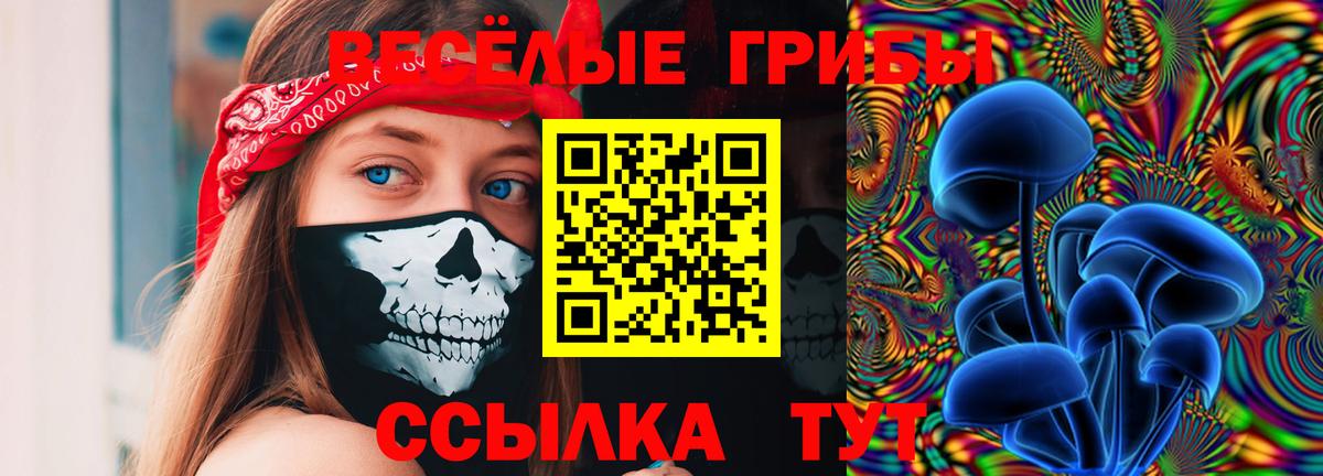 Петропавловск-Камчатский  Галлюциногенные грибы прущие грибы  цена наркотик  Вход с VPN 